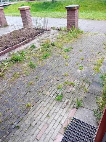 schoonmaak onkruid voortuin beschikbaar voor biedingen