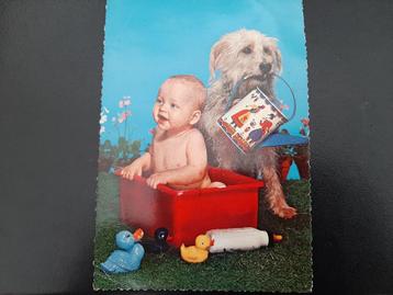 jongen met hond en speelgoed, stempel Woudsend, 1964 beschikbaar voor biedingen