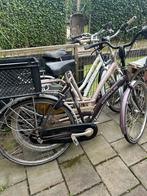 Vier fietsen, Ophalen of Verzenden, Zo goed als nieuw, Overige merken