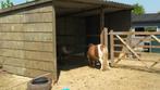 schuilstal, paardenstal, schuilhok in voorraad, Dieren en Toebehoren, Stalling en Weidegang, Stalling, 2 of 3 paarden of pony's