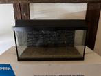 Juwel 60 liter aquarium incl lichtkap en achterwand, Dieren en Toebehoren, Vissen | Aquaria en Toebehoren, Ophalen, Zo goed als nieuw