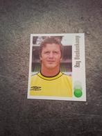 Panini sticker Voetbal 2004. Roy Beukenkamp FC Groningen., Verzenden, Zo goed als nieuw, Sticker