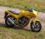 Yamaha Diversion 600s, Motoren, Motoren | Yamaha, Particulier