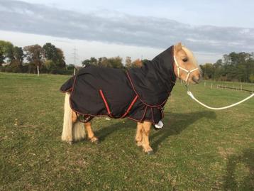 Dé outdoor winterdeken met hals voor shetlander en pony beschikbaar voor biedingen