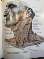 Atlas of Human Anatomy, Boeken, Gelezen, Diverse auteurs, Ophalen of Verzenden, WO