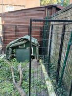 Hondenkennel, Dieren en Toebehoren, Vogels | Kanaries, Mannelijk