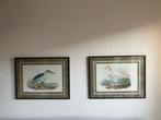 Twee prachtige litho’s van een kwak en koereiger., Antiek en Kunst, Kunst | Schilderijen | Klassiek, Ophalen of Verzenden