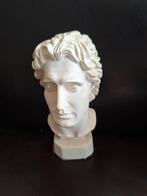 Antiek ogende buste, Antiek en Kunst, Kunst | Beelden en Houtsnijwerken, Ophalen of Verzenden