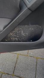 Langdurige frisheid door professionele onderhoudssessie, Ophalen, Nieuw, Overige automerken