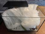 Superfish Quadro 70 Pro - Aquarium- Zwart, Dieren en Toebehoren, Ophalen, Zo goed als nieuw, Leeg aquarium