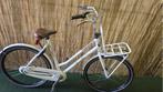 2357 Gazelle Miss Grace C3