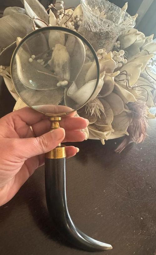 Vergrootglas met hoorn loep, Hobby en Vrije tijd, Vergrootglazen, Loepen en Loeplampen, Vergrootglas of Loep, Verzenden