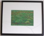 Foto graslandschap met klaprozen Lalley Frankrijk, Minder dan 50 cm, Foto of Poster, Gebruikt, 50 tot 75 cm