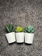 3 ikea kunst plantjes MOET WEG, Huis en Inrichting, Ophalen of Verzenden, Zo goed als nieuw
