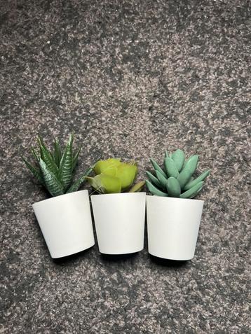 3 ikea kunst plantjes MOET WEG beschikbaar voor biedingen