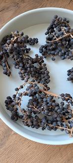 Gedroogde Druiven voor Decoratie, Huis en Inrichting, Ophalen