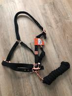 Nieuw halster met touw paard/ full, Ophalen of Verzenden, Nieuw, Overige soorten