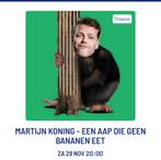 2 tickets martijn koning ijmuiden  zaterdag 29-11-25, Tickets en Kaartjes, Twee personen