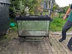 aquarium 1 meter breed, gratis ophalen, Dieren en Toebehoren, Vissen | Aquaria en Toebehoren, Ophalen, Gebruikt, Leeg aquarium