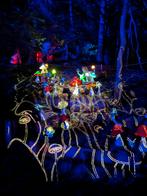1 Ticket Into the Woods Zaterdag, Tickets en Kaartjes, Evenementen en Festivals, Eén persoon