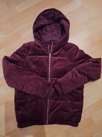 Palomino meisjesjas bordeaux, velours, warm mt 170, Ophalen of Verzenden, Zo goed als nieuw, Meisje, Jas