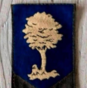 Landmacht Embleem-19 beschikbaar voor biedingen