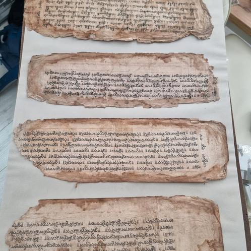 Authentiek Palmbladmanuscript met Bhagavad Gītā-fragmenten (, Antiek en Kunst, Antiek | Boeken en Bijbels, Ophalen of Verzenden