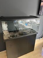 Aquarium en onderkast, 100 x 40 x 50 met pomp en toebehoren, Ophalen, Gebruikt, Leeg aquarium