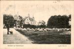 Schapen op de Klaaskampen, Ophalen of Verzenden, Voor 1920, Gelopen, Noord-Holland