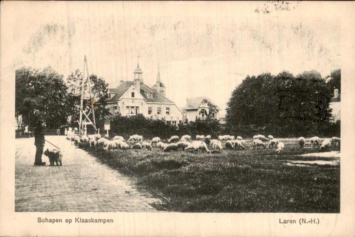 Schapen op de Klaaskampen, Verzamelen, Ansichtkaarten | Nederland, Gelopen, Noord-Holland, Voor 1920, Ophalen of Verzenden