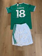 Liverpool Gakpo Voetbaltenue Groen - Maat L, Nieuw, Ophalen of Verzenden, Groen, Maat 42/44 (L)