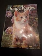 Jonge katjes, Ophalen of Verzenden, Zo goed als nieuw, Katten