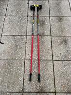 Leki carbon sport nordic walking stokken 1.25-1.30 m, Ophalen, Gebruikt, Wandelstok