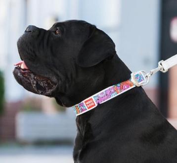 WAUDOG Summer Lederen Halsband Wit Nekomtr 30-39 cm KOOPJE! beschikbaar voor biedingen