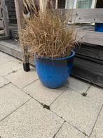 Bloempotten set van 8 stuks blauw bloembakken, Rond, Zo goed als nieuw, Tuin, Aardewerk