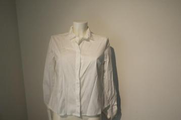Brunello Cucinelli mooie witte basic blouse mt 40 beschikbaar voor biedingen
