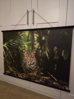 Poster panter, Huis en Inrichting, Ophalen, Zo goed als nieuw, 100 tot 125 cm, Foto of Poster