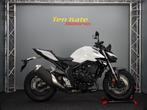 Honda CB 1000 Hornet, Bedrijf, Naked bike