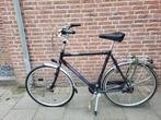 Gazelle Davos herenfiets, Ophalen, Gebruikt, Versnellingen, 61 tot 65 cm