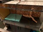 Allterra Terrarium 120x60x60, Dieren en Toebehoren, Reptielen en Amfibieën | Toebehoren, Ophalen, Zo goed als nieuw, Terrarium of Paludarium
