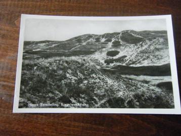 O30 - Terschelling - Koegelwieckduin - 1956 - Mooi/Oud beschikbaar voor biedingen
