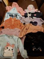 Truien maat 104, Kinderen en Baby's, Kinderkleding | Maat 104, Ophalen of Verzenden, Gebruikt, Meisje, Trui of Vest