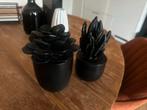 2 Zwarte Nep Planten - Cactus & Succulent, Ophalen of Verzenden, Zo goed als nieuw