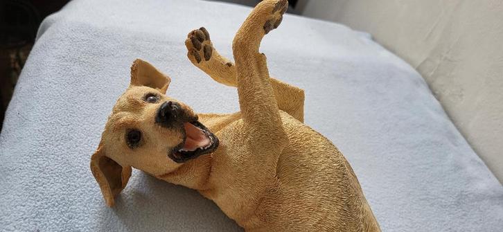 Blonde golden Labrador ~ Retriever BEELDJE, Dieren en Toebehoren, Honden-accessoires, Zo goed als nieuw, Ophalen