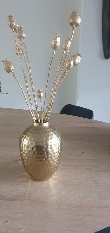 Gouden vaas met droogbloemen papaver beschikbaar voor biedingen