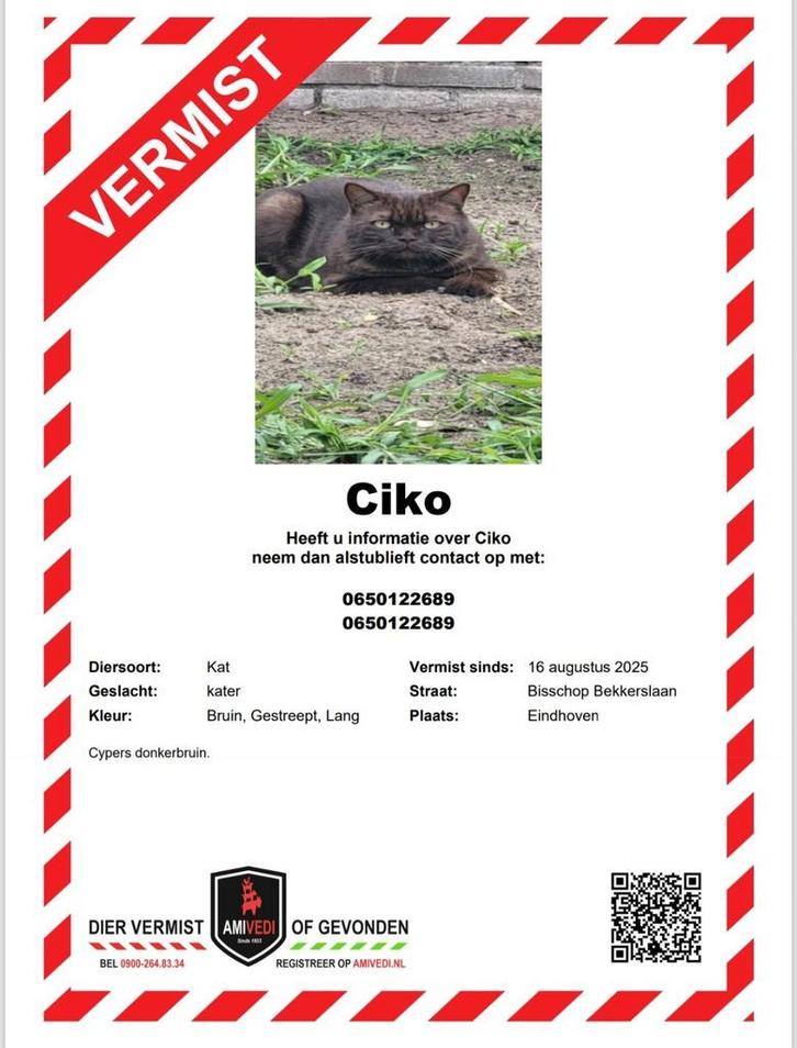 Ciko verloren, Dieren en Toebehoren, Vermiste en Gevonden Dieren