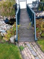 Bruggetje, Dieren en Toebehoren, Karper of Koi