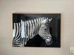 Zebra schilderij met lijst 102x72 cm, Audio, Tv en Foto, Fotografie | Fotolijsten, Gebruikt, Ophalen