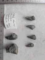 verzameling fossielen en mineralen, Verzamelen, Ophalen, Mineraal