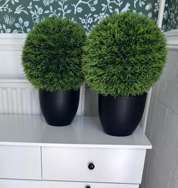 Kunstplanten (Set van 2) / Topiary beschikbaar voor biedingen
